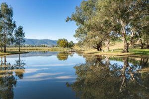 Orana - Yea, VIC